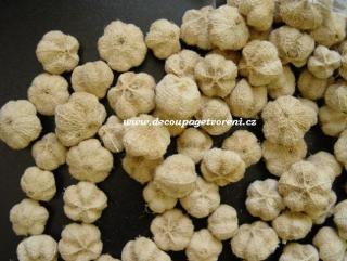 Plody Paras Pumpkin 2 - 3 cm mix, 10 ks/bal.